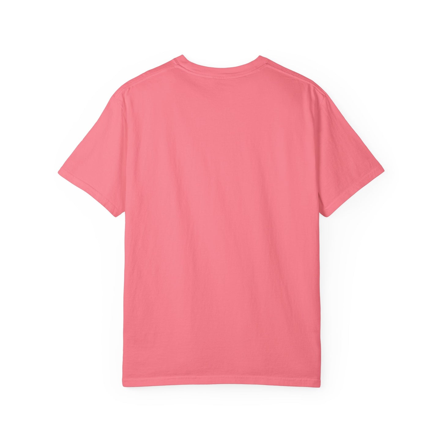 Chief Stewardship Officer Unisex Garment-Dyed T-shirt