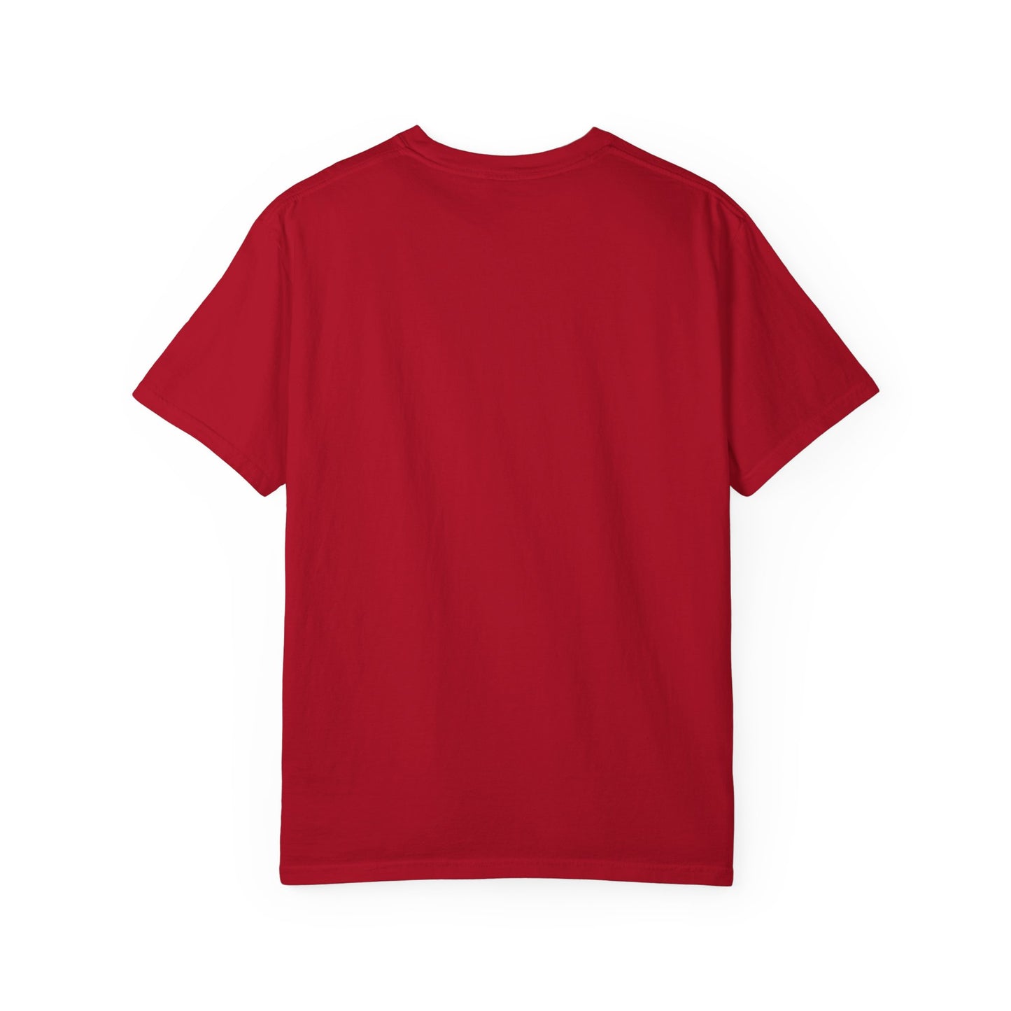 Steward Your Lifestyle Unisex Garment-Dyed T-shirt
